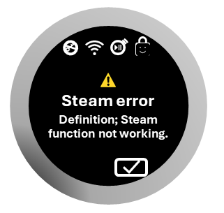 Steam error